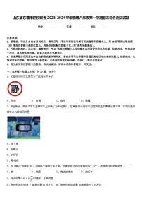 山东省东营市四校联考2023-2024学年物理八年级第一学期期末综合测试试题含答案