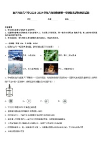 宜兴市洑东中学2023-2024学年八年级物理第一学期期末达标测试试题含答案