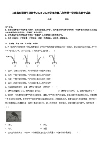 山东省东营邹平县联考2023-2024学年物理八年级第一学期期末联考试题含答案