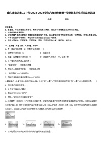 山东省临沂市12中学2023-2024学年八年级物理第一学期期末学业质量监测试题含答案