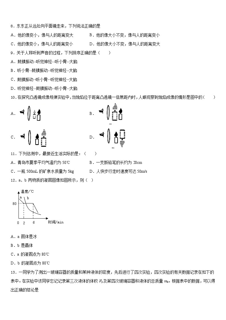 山东省临沂市经济技术开发区2023-2024学年物理八上期末达标测试试题含答案第3页
