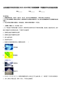 山东省临沂市经济开发区2023-2024学年八年级物理第一学期期末学业质量监测试题含答案