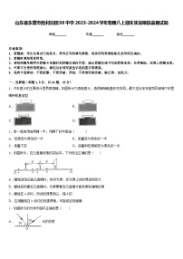 山东省东营市胜利油田59中学2023-2024学年物理八上期末质量跟踪监视试题含答案