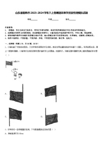 山东省临朐市2023-2024学年八上物理期末教学质量检测模拟试题含答案