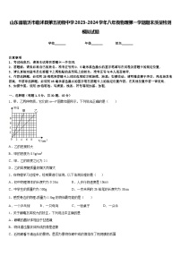 山东省临沂市临沭县第五初级中学2023-2024学年八年级物理第一学期期末质量检测模拟试题含答案