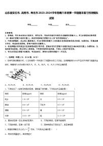 山东省安丘市、高密市、寿光市2023-2024学年物理八年级第一学期期末复习检测模拟试题含答案