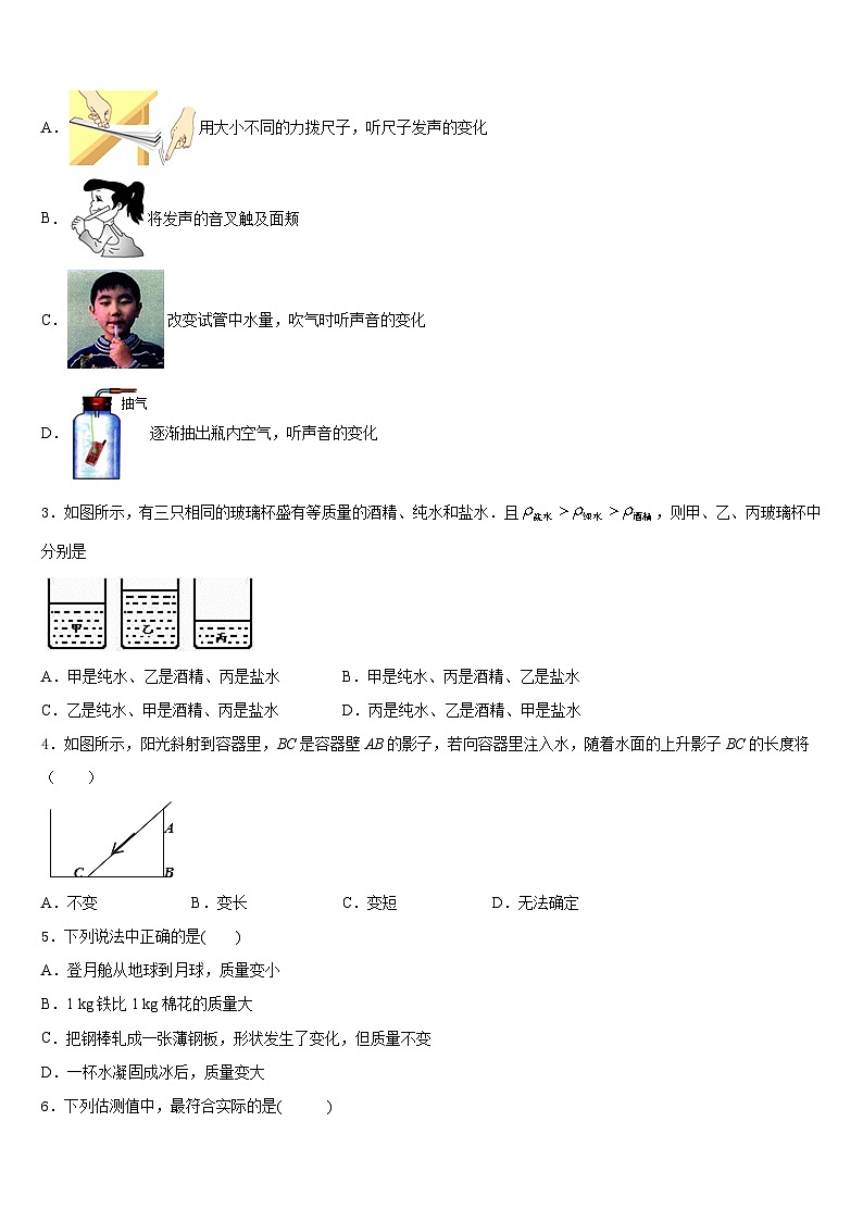山东省安丘市红沙沟镇红沙沟中学2023-2024学年物理八年级第一学期期末质量跟踪监视模拟试题含答案02