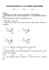 山东省安丘市青云双语学校2023-2024学年物理八上期末复习检测试题含答案