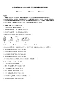 山东省曹县2023-2024学年八上物理期末达标检测试题含答案