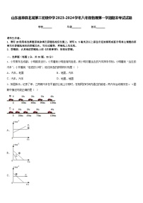 山东省单县北城第三初级中学2023-2024学年八年级物理第一学期期末考试试题含答案