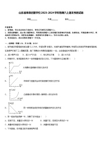 山东省单县启智学校2023-2024学年物理八上期末预测试题含答案