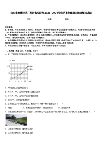 山东省德州经济开发区七校联考2023-2024学年八上物理期末调研模拟试题含答案