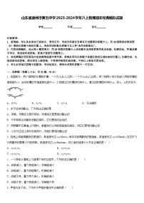 山东省德州市第五中学2023-2024学年八上物理期末经典模拟试题含答案