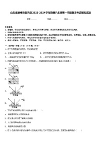 山东省德州市临邑县2023-2024学年物理八年级第一学期期末考试模拟试题含答案