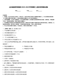 山东省德州市陵城区2023-2024学年物理八上期末统考模拟试题含答案