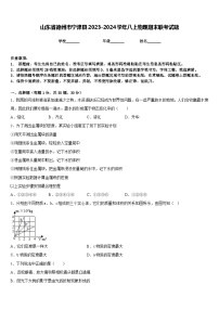 山东省德州市宁津县2023-2024学年八上物理期末联考试题含答案