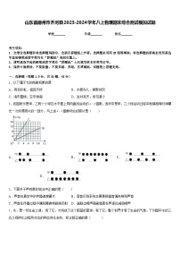 山东省德州市齐河县2023-2024学年八上物理期末综合测试模拟试题含答案