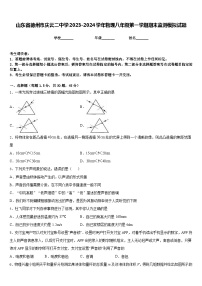 山东省德州市庆云二中学2023-2024学年物理八年级第一学期期末监测模拟试题含答案