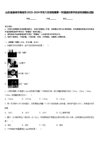 山东省德州市禹城市2023-2024学年八年级物理第一学期期末教学质量检测模拟试题含答案