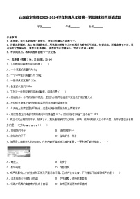 山东省定陶县2023-2024学年物理八年级第一学期期末综合测试试题含答案