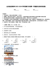 山东省冠县联考2023-2024学年物理八年级第一学期期末达标检测试题含答案