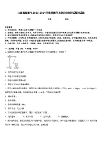 山东省即墨市2023-2024学年物理八上期末综合测试模拟试题含答案