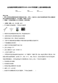 山东省临沭县第五初级中学2023-2024学年物理八上期末调研模拟试题含答案