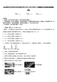 山东省枣庄市中学区永安乡黄庄中学2023-2024学年八上物理期末质量跟踪监视模拟试题含答案