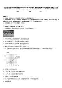 山东省临清市刘垓子镇中学2023-2024学年八年级物理第一学期期末检测模拟试题含答案