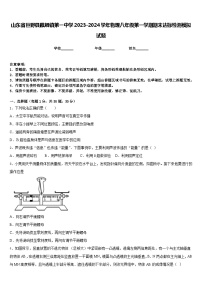 山东省巨野县麒麟镇第一中学2023-2024学年物理八年级第一学期期末达标检测模拟试题含答案