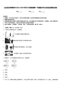 山东省无棣县联考2023-2024学年八年级物理第一学期期末学业质量监测模拟试题含答案