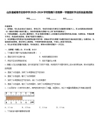 山东省威海市实验中学2023-2024学年物理八年级第一学期期末学业质量监测试题含答案