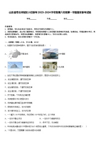 山东省枣庄峄城区六校联考2023-2024学年物理八年级第一学期期末联考试题含答案