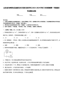 山东省无棣县鲁北高新技术开发区实验学校2023-2024学年八年级物理第一学期期末考试模拟试题含答案