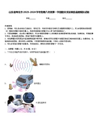 山东省寿光市2023-2024学年物理八年级第一学期期末质量跟踪监视模拟试题含答案