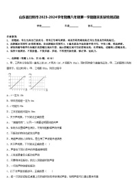 山东省日照市2023-2024学年物理八年级第一学期期末质量检测试题含答案