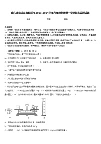 山东省临沂莒南县联考2023-2024学年八年级物理第一学期期末监测试题含答案