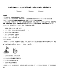 山东省平邑县2023-2024学年物理八年级第一学期期末经典模拟试题含答案