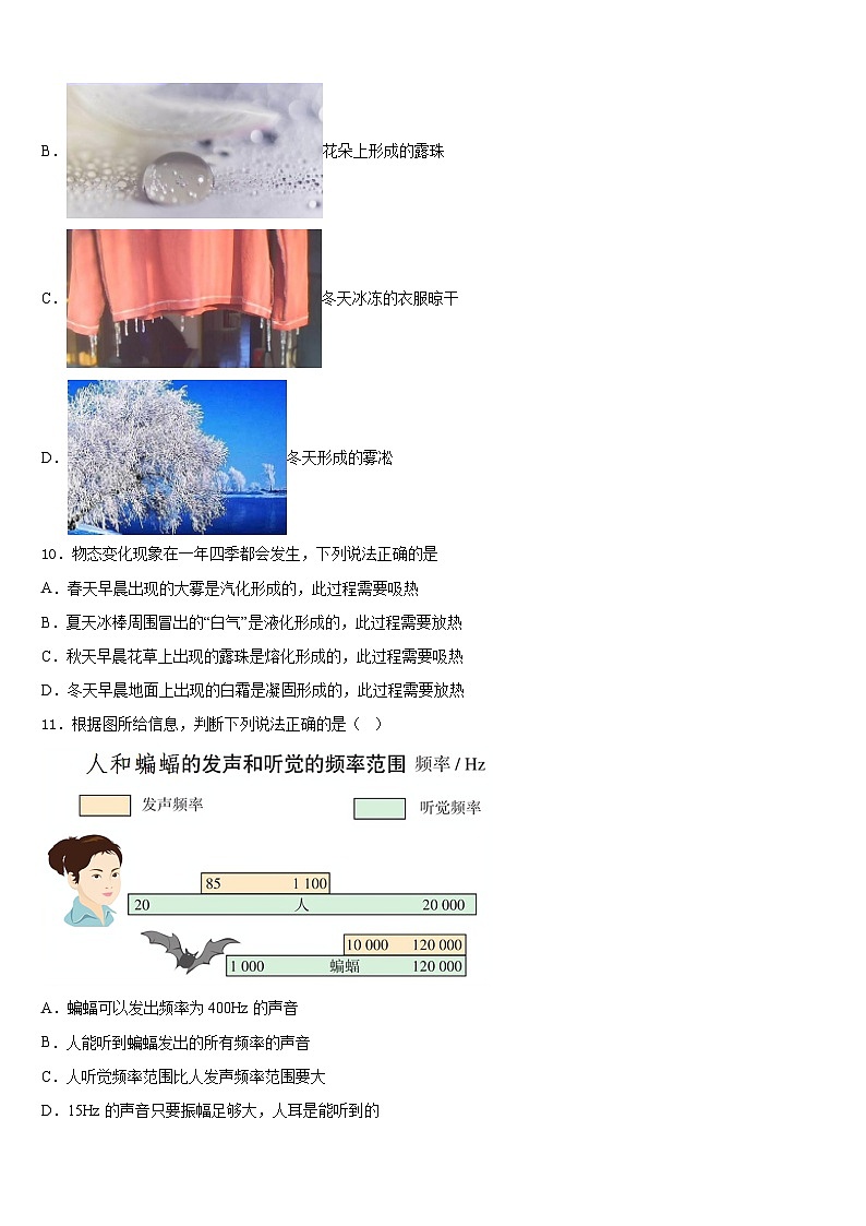 山东省济南高新区四校联考2023-2024学年物理八年级第一学期期末考试试题含答案第3页