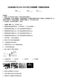 山东省济南历下区2023-2024学年八年级物理第一学期期末预测试题含答案