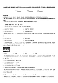 山东省济南市钢城区实验学校2023-2024学年物理八年级第一学期期末监测模拟试题含答案