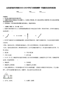 山东省济南市济阳县2023-2024学年八年级物理第一学期期末达标检测试题含答案