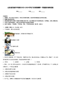 山东省济南市平阴县2023-2024学年八年级物理第一学期期末调研试题含答案