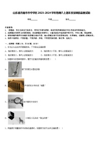 山东省济南市市中学区2023-2024学年物理八上期末质量跟踪监视试题含答案