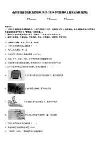 山东省济南章丘区五校联考2023-2024学年物理八上期末达标检测试题含答案