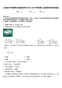 山东省济宁市曲阜师大附属实验学校2023-2024学年物理八上期末教学质量检测试题含答案