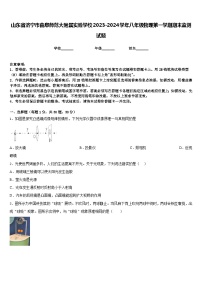 山东省济宁市曲阜师范大附属实验学校2023-2024学年八年级物理第一学期期末监测试题含答案