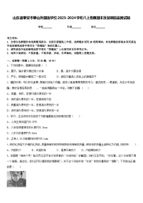 山东省泰安市泰山外国语学校2023-2024学年八上物理期末质量跟踪监视试题含答案