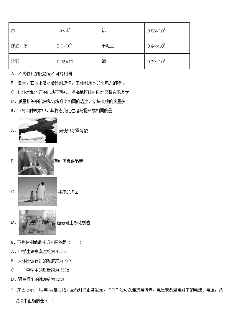 山东省泰安市名校2023-2024学年八上物理期末质量跟踪监视试题含答案02