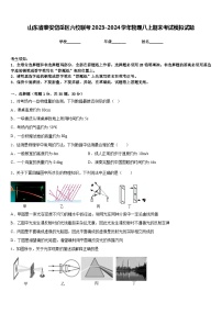 山东省泰安岱岳区六校联考2023-2024学年物理八上期末考试模拟试题含答案